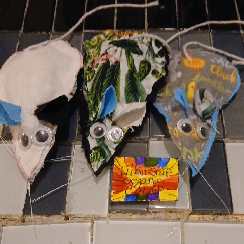 WhiskerPals Handcrafted Cat Toys - Multicolor